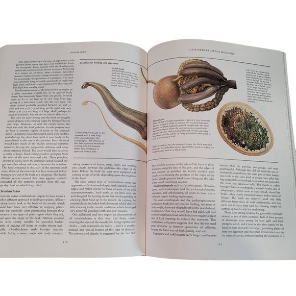 Dinosaur! hard cover book by David B. Norman. perfect book for dinosaur lovers - Picture 4 of 8